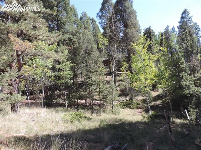 1325 Pinewood Road Florissant, CO 80816 - Photo 6 of 7