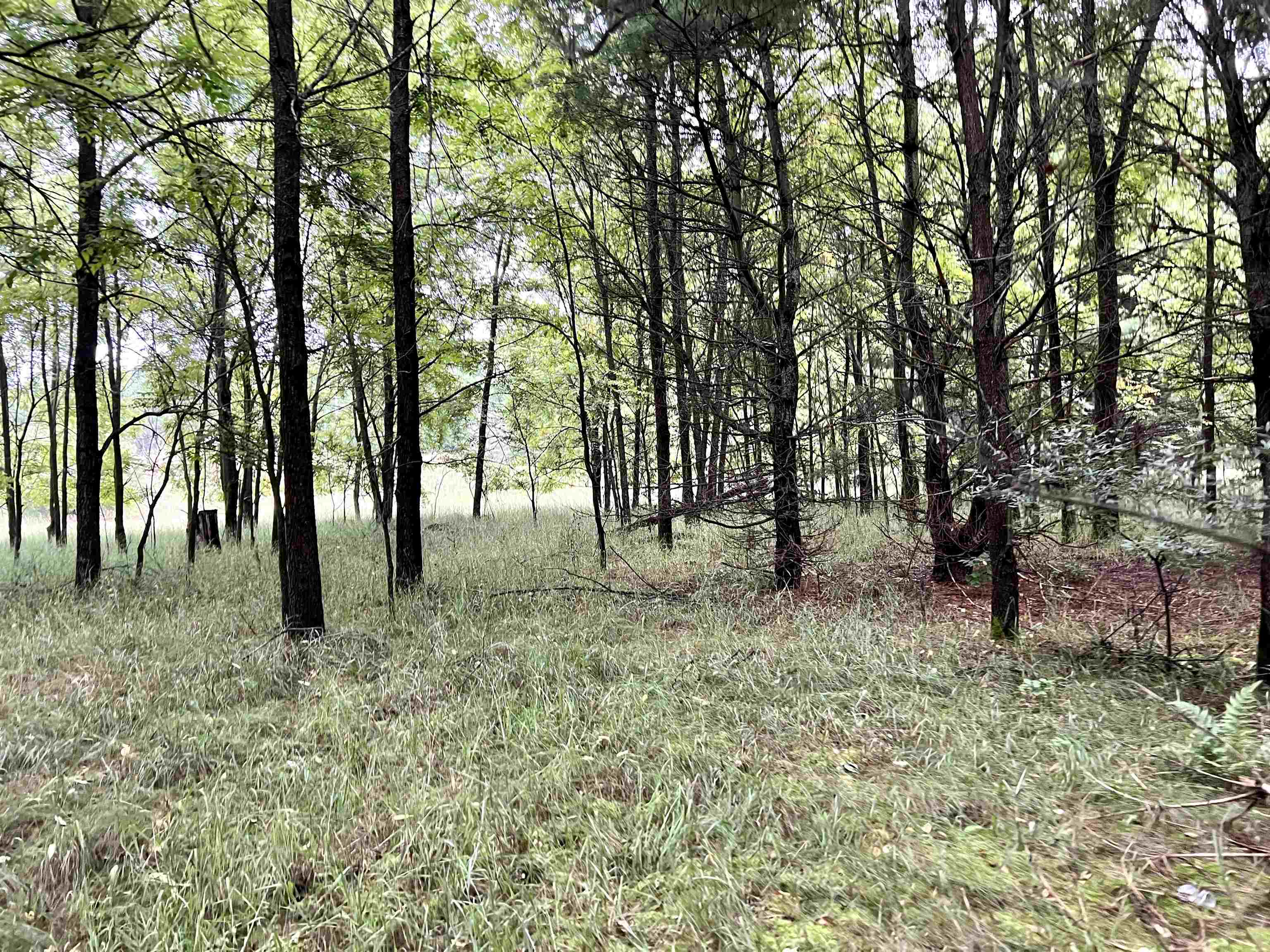9 9 Mile Road Copemish, MI 49625 - Photo 27 of 66 1914911-26.JPG