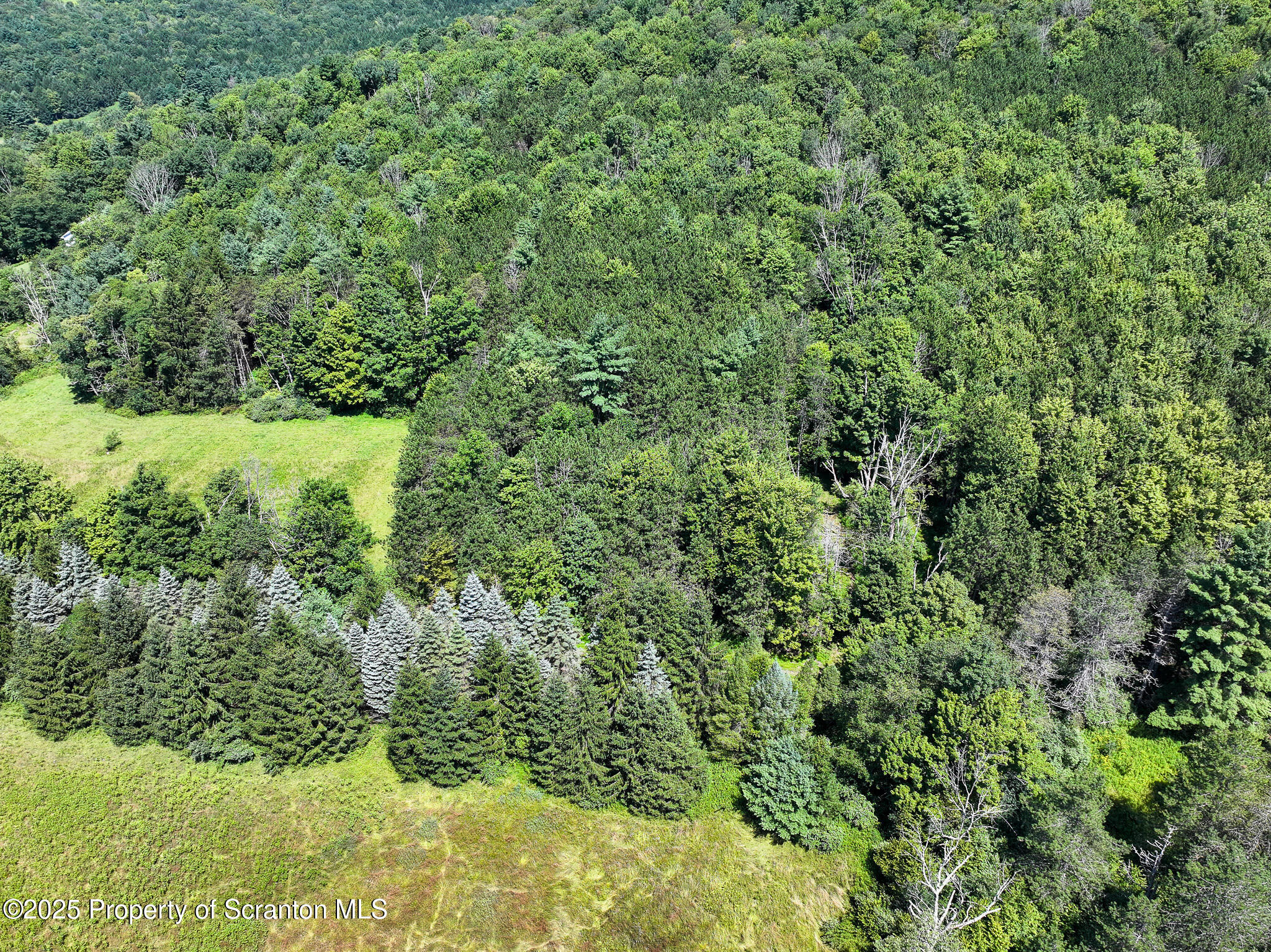 5290 Irish Hill Road Montrose, PA 18801 - Photo 65 of 67 arial