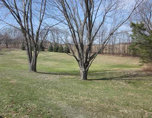 601 Harmony Baptist Road New Castle, PA 16101 - Photo 6 of 16 Land. BACK YARD