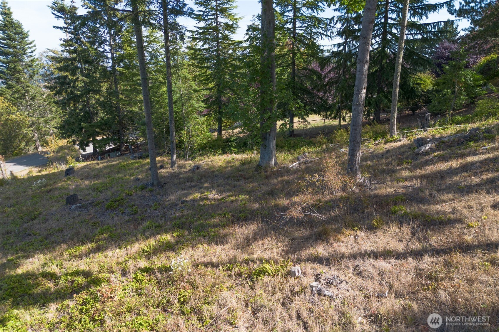 346 Ravens Ridge Road Sequim, WA 98382 - Photo 20 of 21 Gallery Image 20