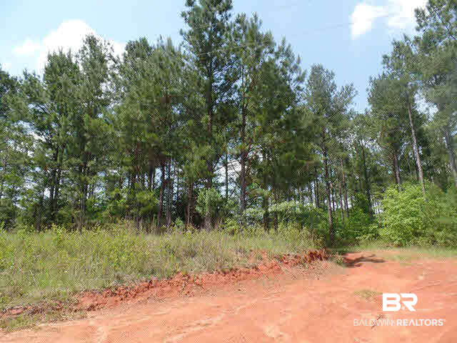 500 County Road 462 Kinston, AL 36453 - Photo 23 of 25