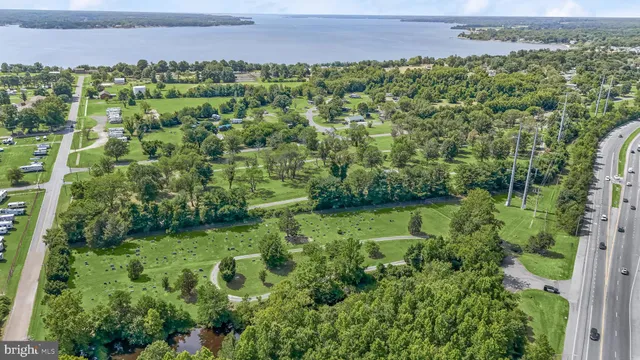 a view of a green field with lots of plants in it
