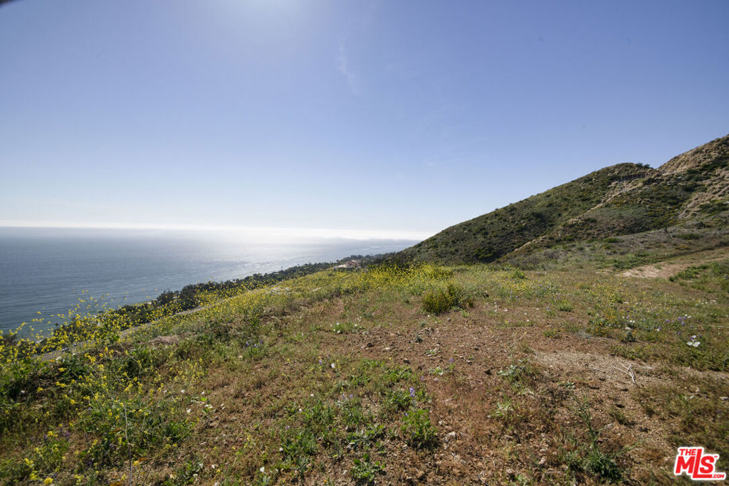4100 Encinal Canyon Road Malibu, CA 90265 - Photo 13 of 25 a view of a field with an ocean