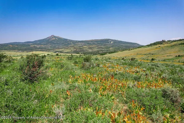 a view of a mountain range with trees in the background