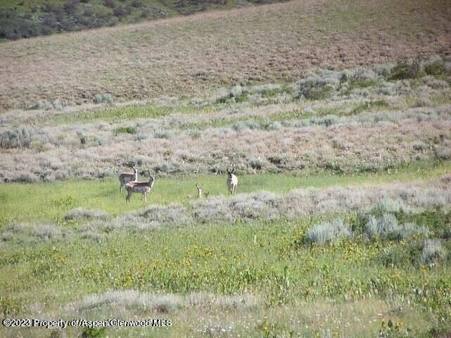 2004 Boulder Drive Craig, CO 81625 - Photo 19 of 22 a view of a lush green field