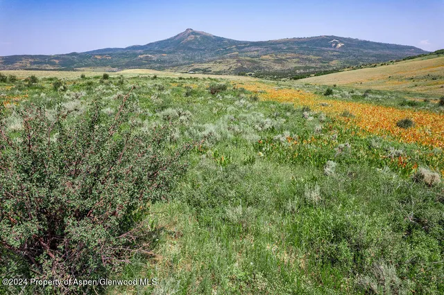a view of a field with an ocean