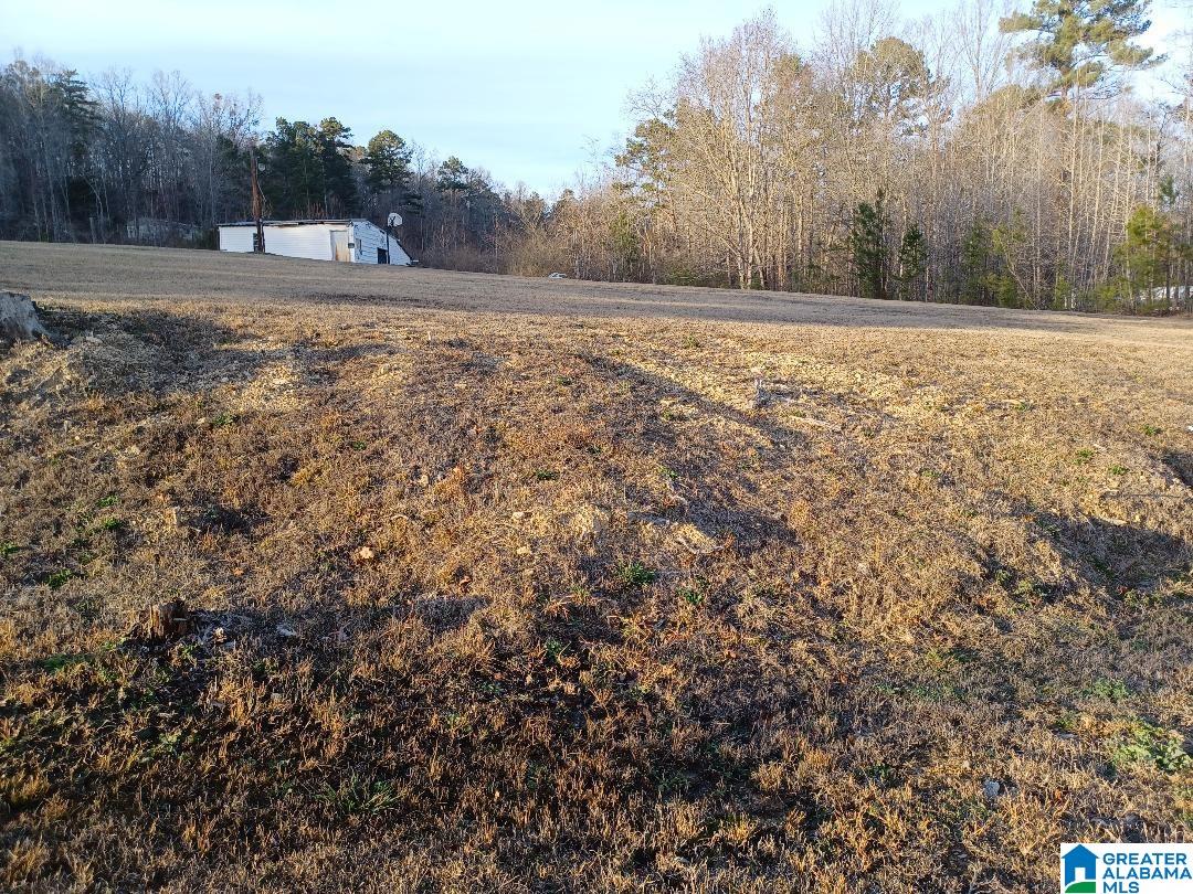 1885 Pleasant Valley Road Odenville, AL 35120 - Photo 1 of 16