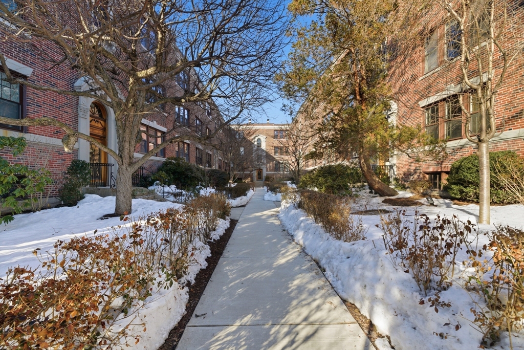 401 Washington Street, Unit 6 Brookline, MA 02446 - Photo 16 of 24 a view of a pathway with a yard