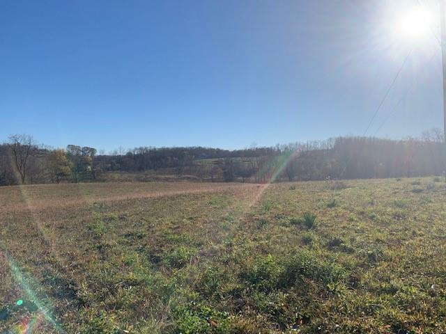 0 Airshaft Road & Crucible Road Rices Landing, PA 15357 - Photo 2 of 11 Gallery Image 2