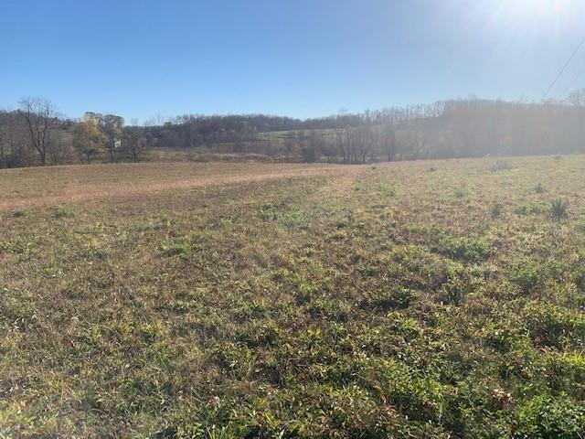 0 Airshaft Road & Crucible Road Rices Landing, PA 15357 - Photo 4 of 11 Gallery Image 4