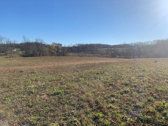 0 Airshaft Road & Crucible Road Rices Landing, PA 15357 - Photo 5 of 11 Gallery Image 5
