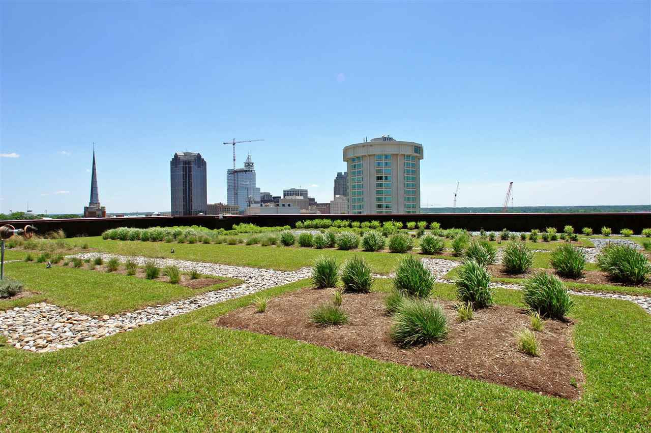 323 West Jones Street, Unit 805 Raleigh, NC 27603 - Photo 24 of 25 Photo 24