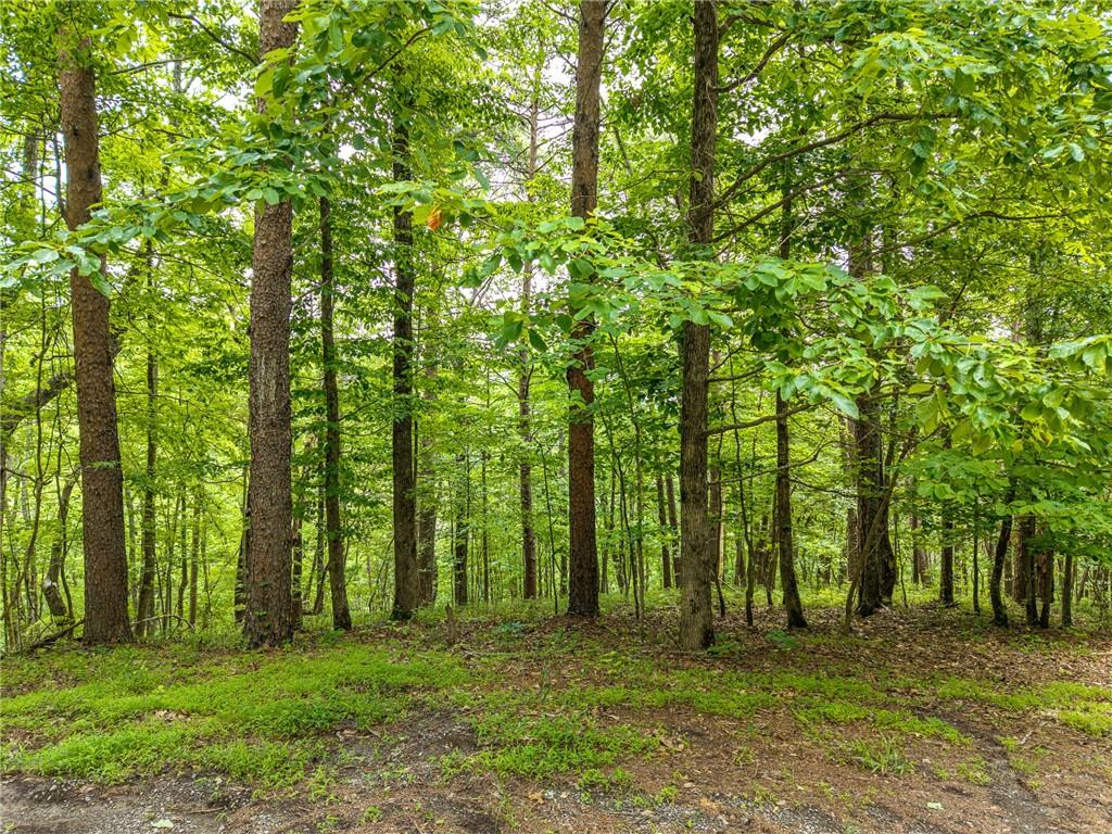 1331 Birch Lane Ranger, GA 30734 - Photo 3 of 43