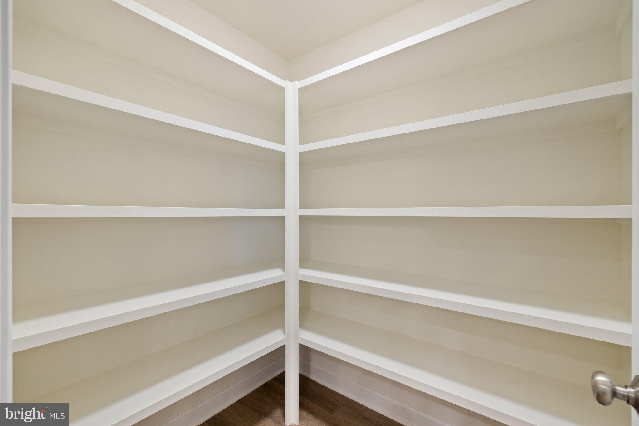 141 Oak View Street Culpeper, VA 22701 - Photo 19 of 46 a view of an empty walk in closet