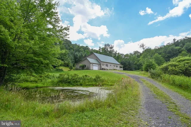 a view of a lush green forest with trees in the background