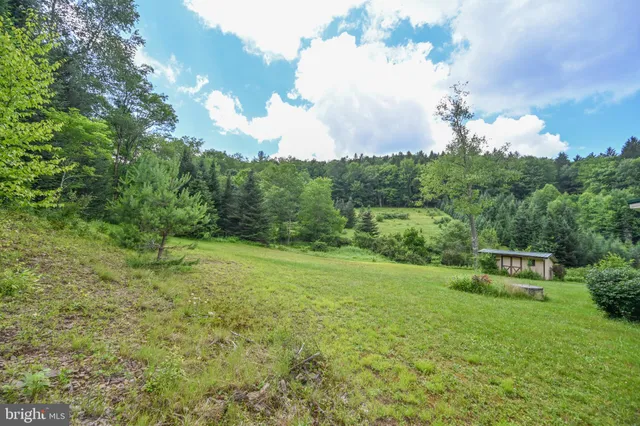 a big yard with flowing stream of water in middle