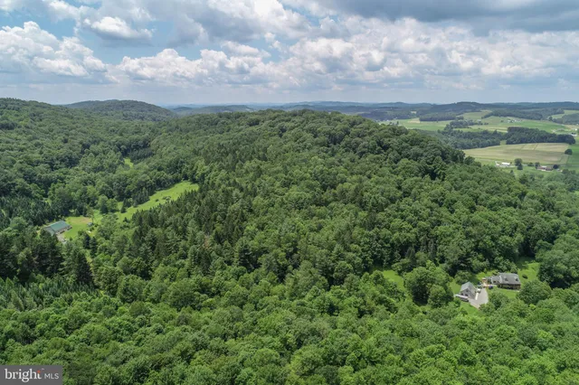 a view of a lush green forest with trees and houses