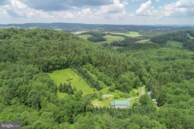 a view of a big yard of a house