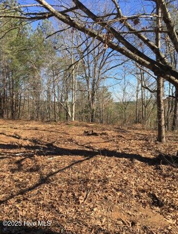 522 Green Road Ellerbe, NC 28338 - Photo 8 of 22 IMG_5792