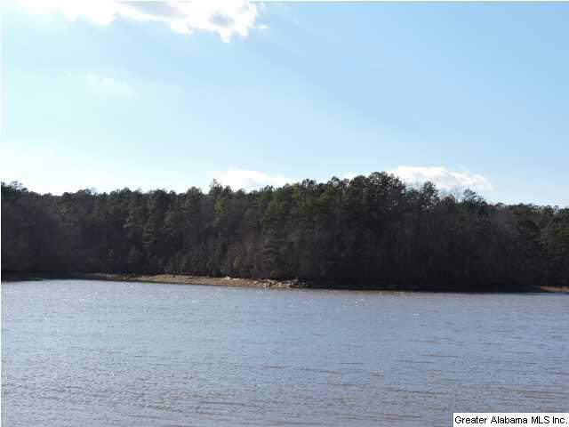 229 Hanson Road Wedowee, AL 36278 - Photo 27 of 27