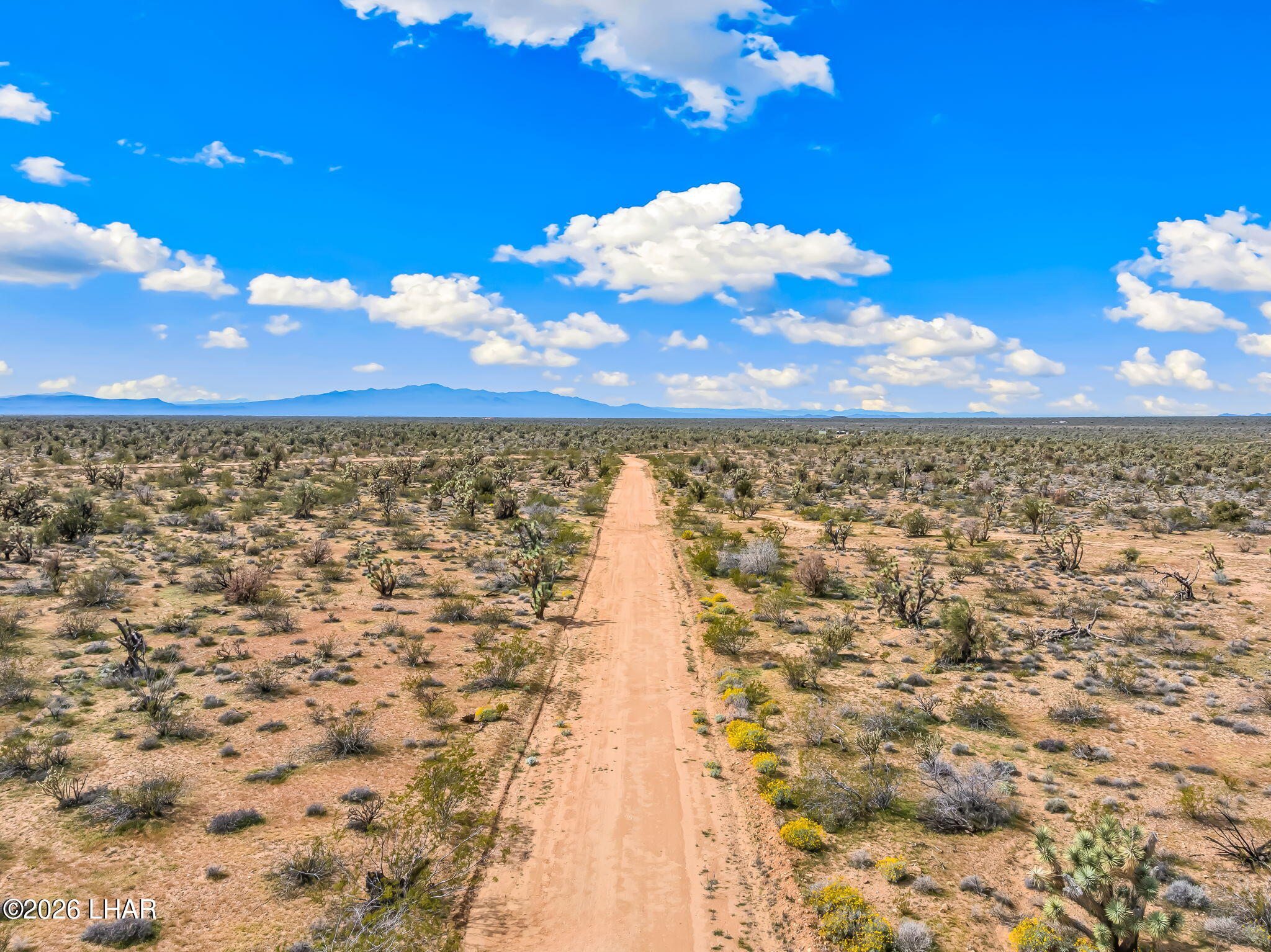 0 East Saguarro Road Yucca, AZ 86438 - Photo 14 of 14 a view of a yard