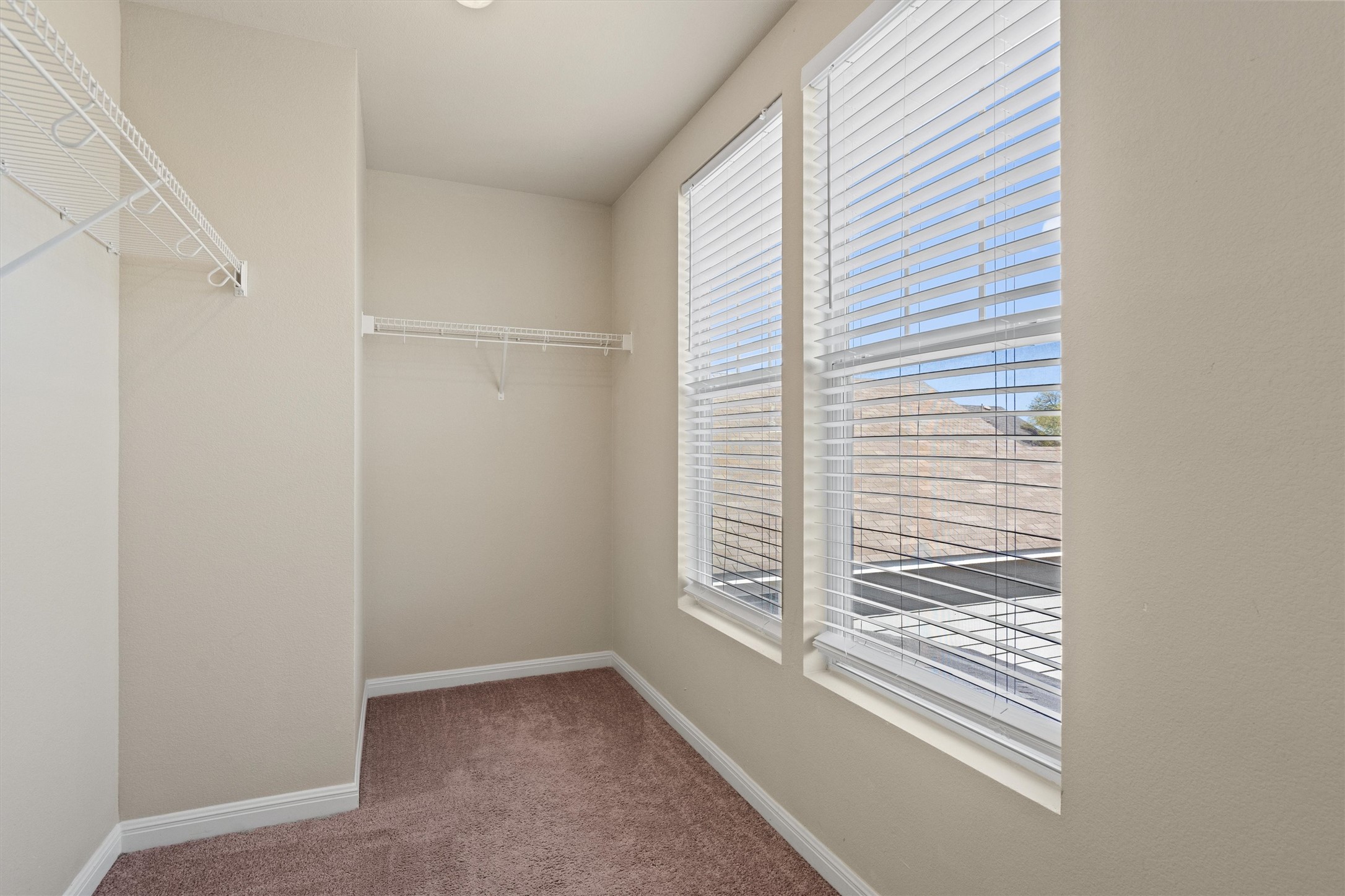 423 Wetzel Kyle, TX 78640 - Photo 22 of 35 Walk in closet featuring light colored carpet