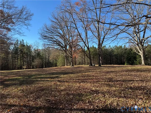 a view of dirt yard with a large tree