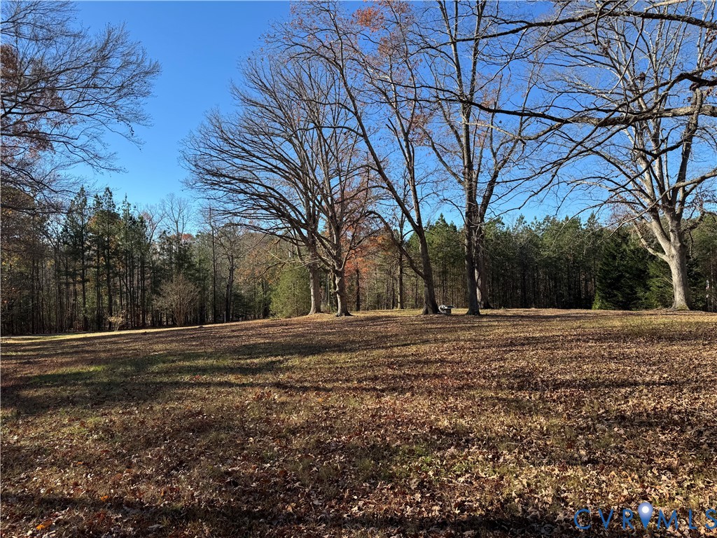 a view of dirt yard with a large tree