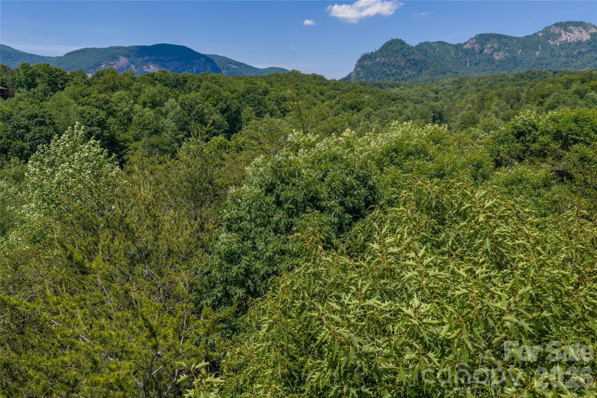 0 View Trail Lake Lure, NC 28746 - Photo 2 of 11 a view of a lush green forest with a house in the background