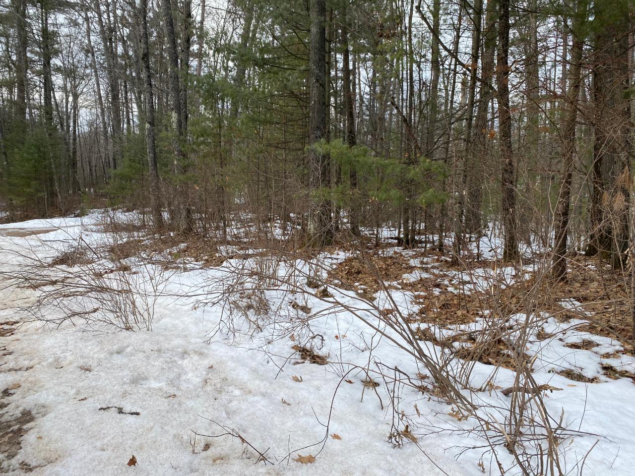 Lot 21 Poplar Road Lake Tomahawk, WI 54539 - Photo 1 of 10 Gallery Image 1