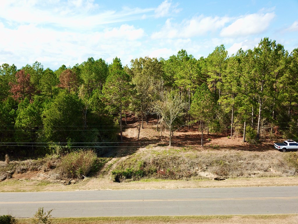 3-acres Lucy Grade Road Ashford, AL 36312 - Photo 9 of 18