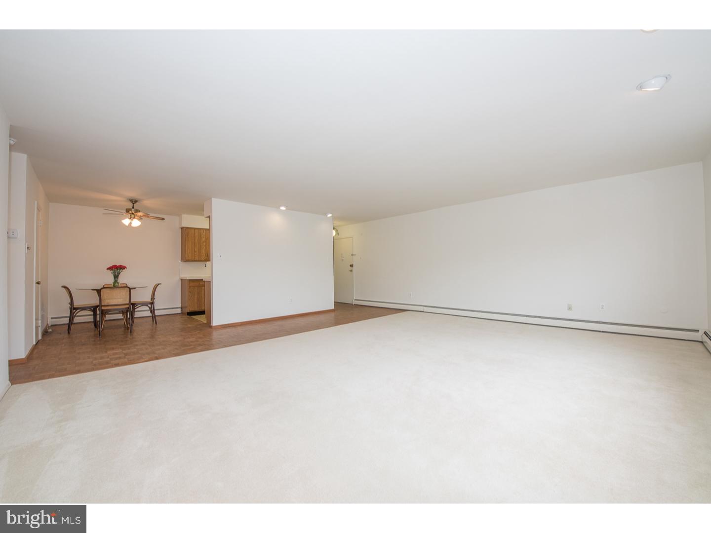 48 Llanfair Road, Unit 12 Ardmore, PA 19003 - Photo 6 of 18 Living Room