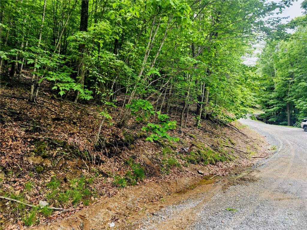136 Locust Ridge Road Beech Mountain, NC 28604 - Photo 2 of 8 a view of a yard with plants and large trees