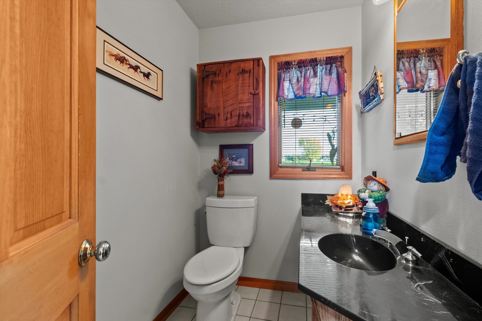 15344 Norrish Road Morrison, IL 61270 - Photo 20 of 54 a bathroom with a toilet a sink and a shower