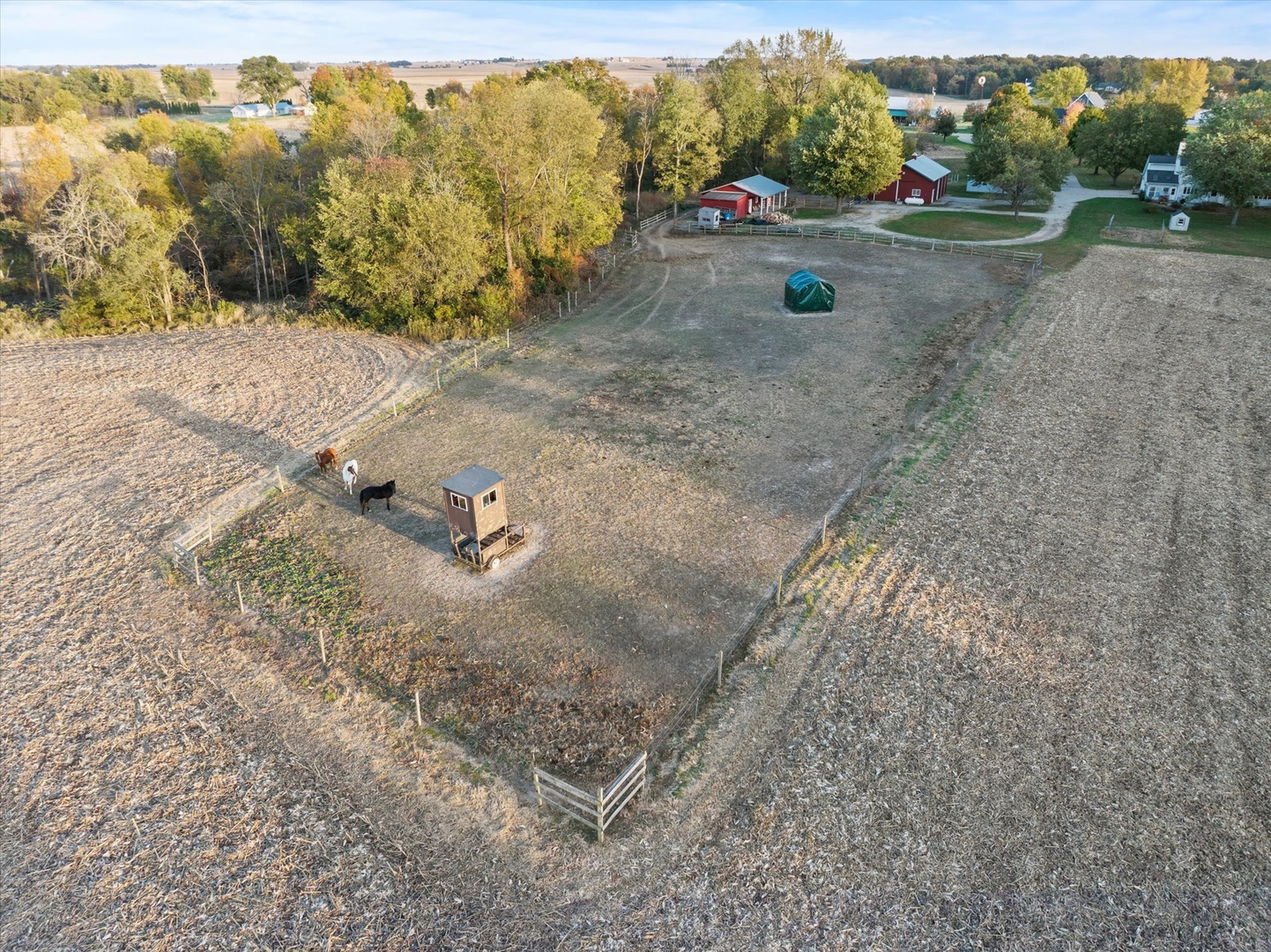 15344 Norrish Road Morrison, IL 61270 - Photo 48 of 50 a view of a dry yard with wooden fence