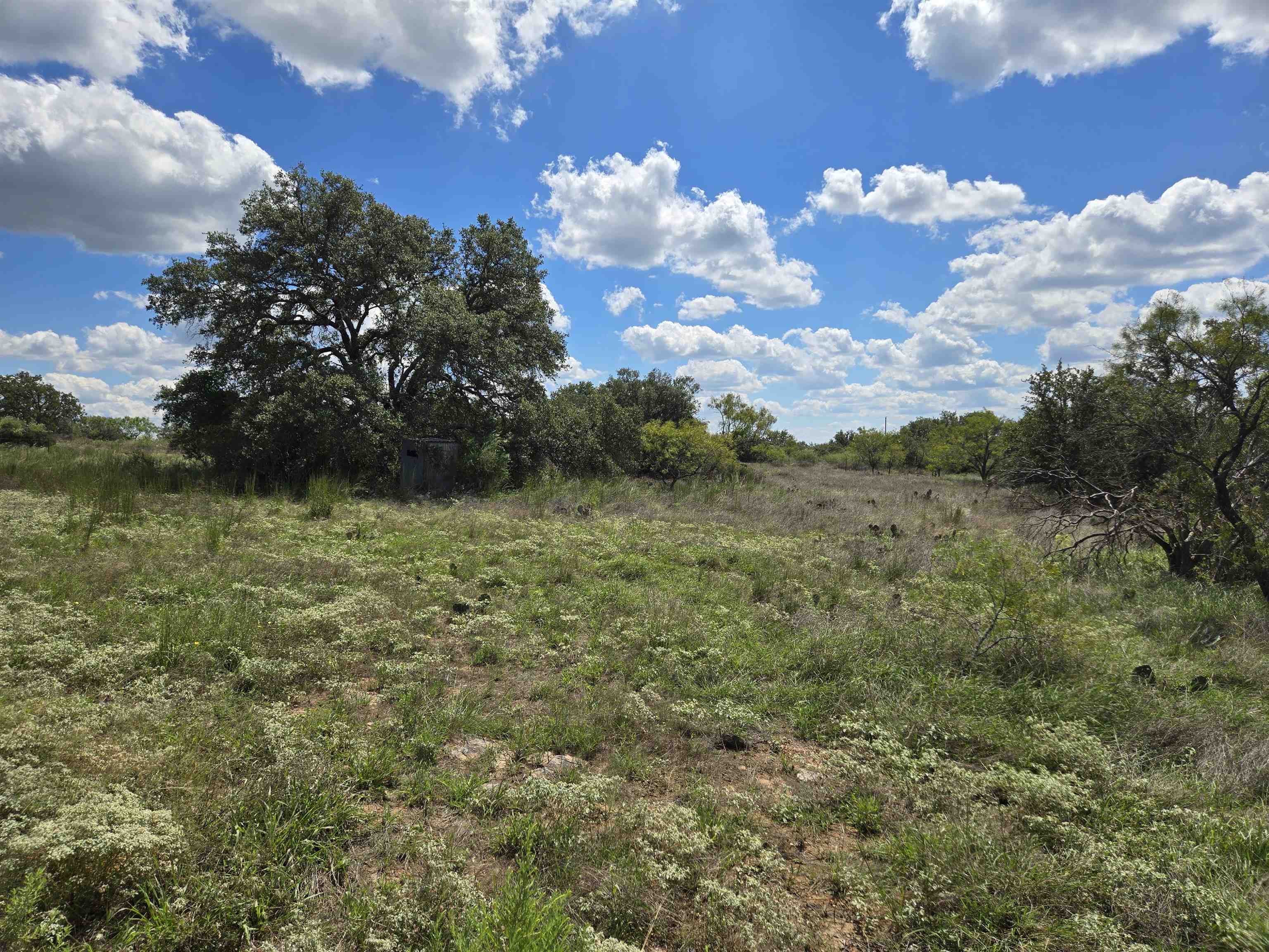 278 Valley Ranch Road Valley Spring, TX 76885 - Photo 18 of 20
