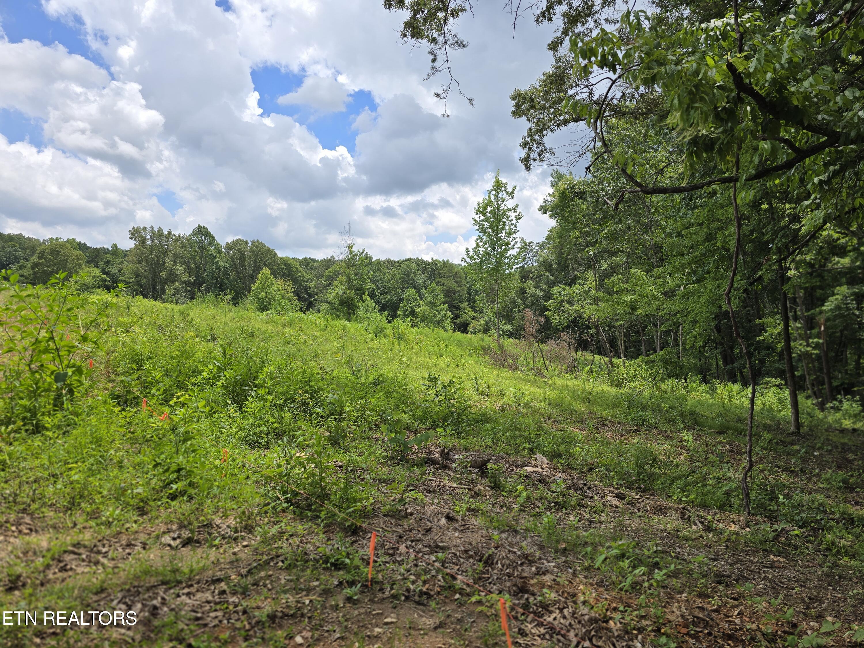 230 Wells Road, Unit LOT 9 Powell, TN 37849 - Photo 3 of 15 Lot 9