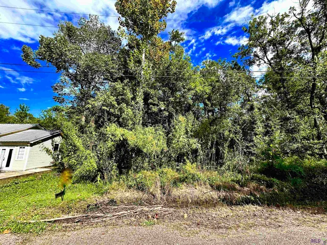 $15,900 | Lot # Phillips Road, St. Amant, LA 70774