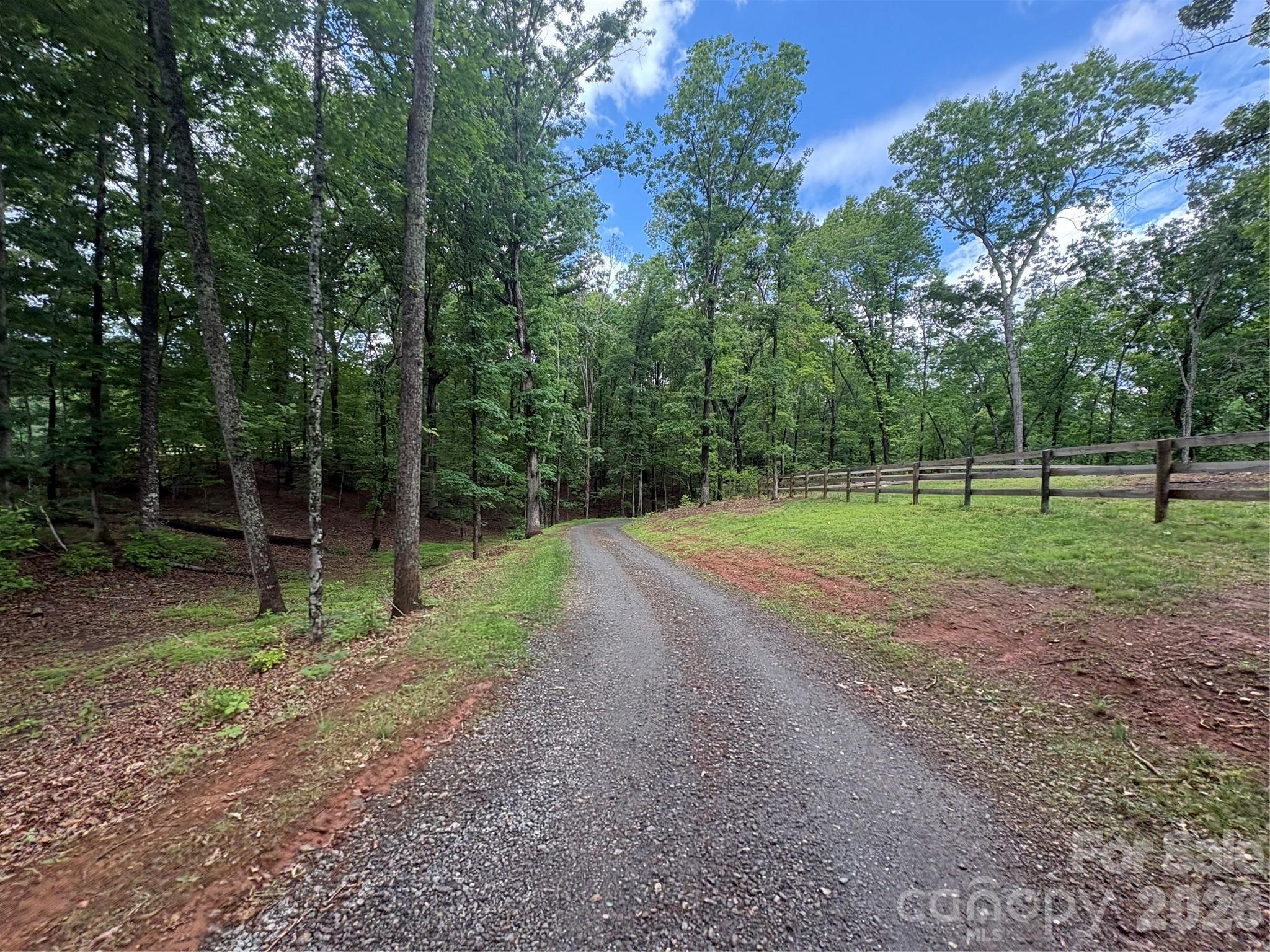 250 Burt Blackwell Road Mill Spring, NC 28756 - Photo 21 of 47