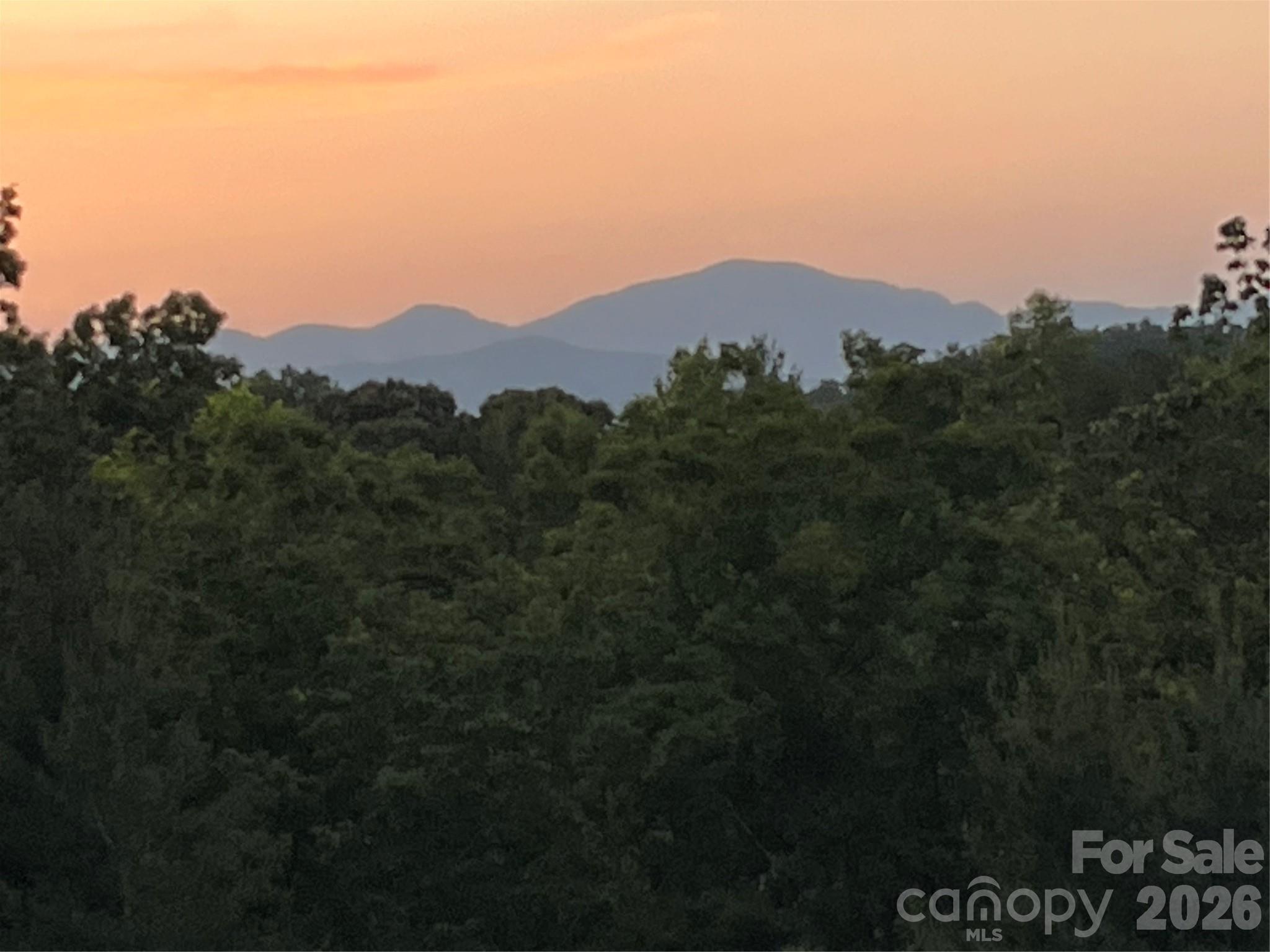 250 Burt Blackwell Road Mill Spring, NC 28756 - Photo 5 of 47