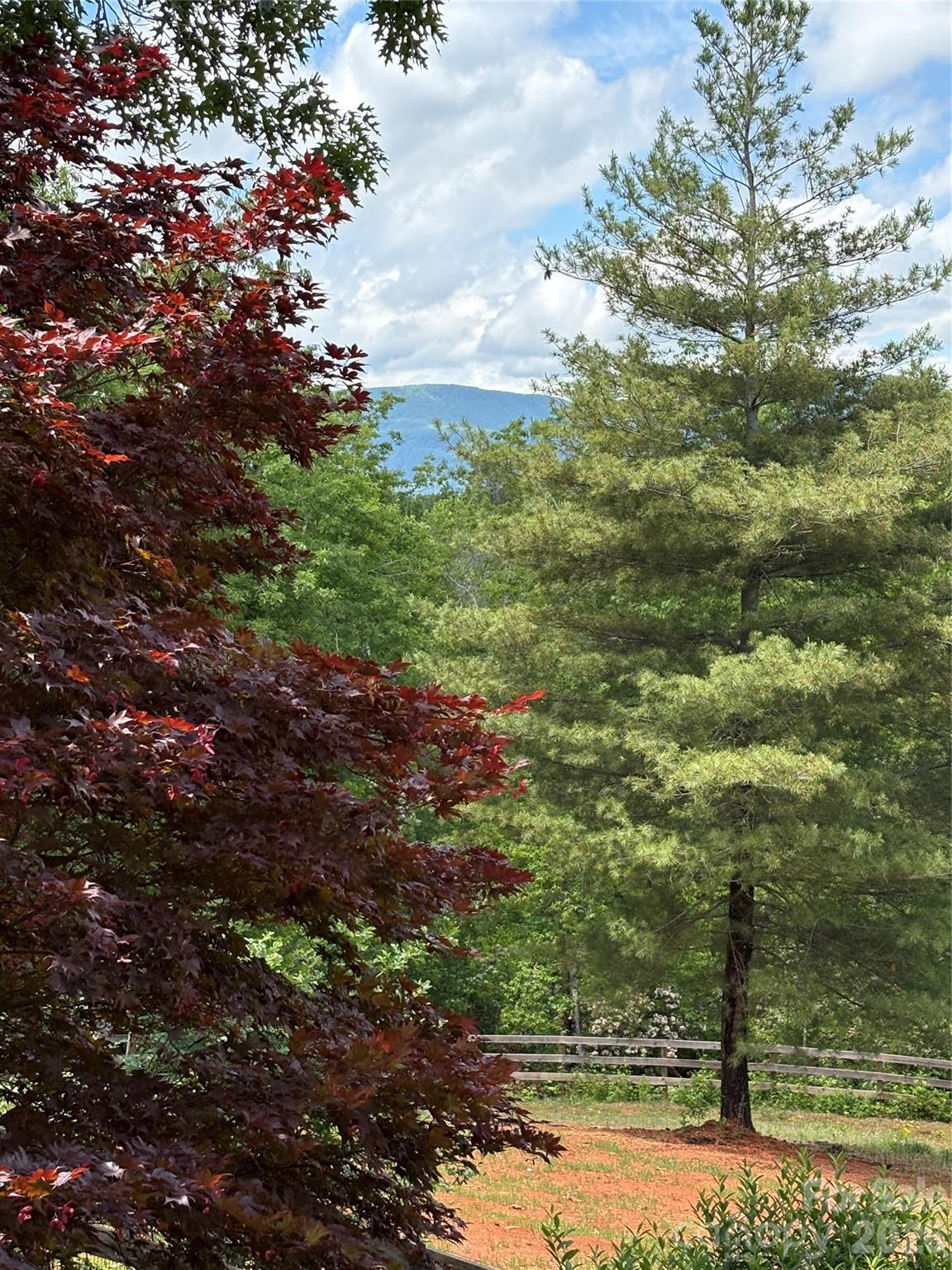 250 Burt Blackwell Road Mill Spring, NC 28756 - Photo 6 of 47 a view of a lake with lots of trees