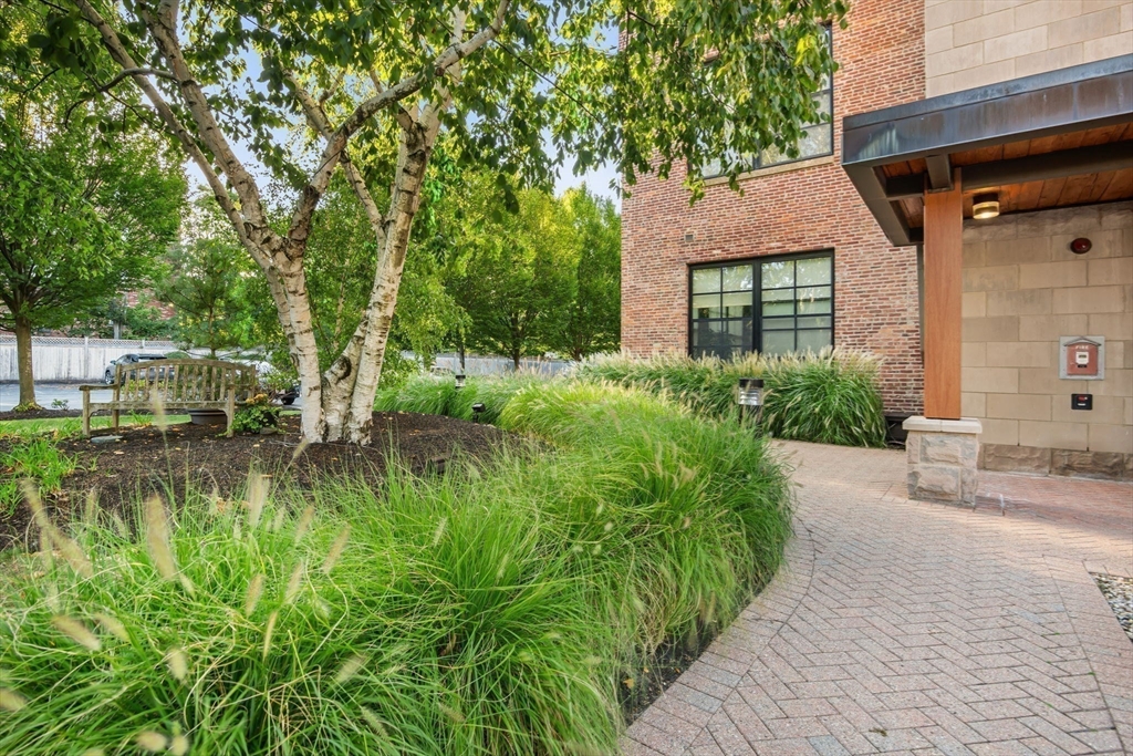 1 Aberdeen Way, Unit 113 Cambridge, MA 02138 - Photo 22 of 30