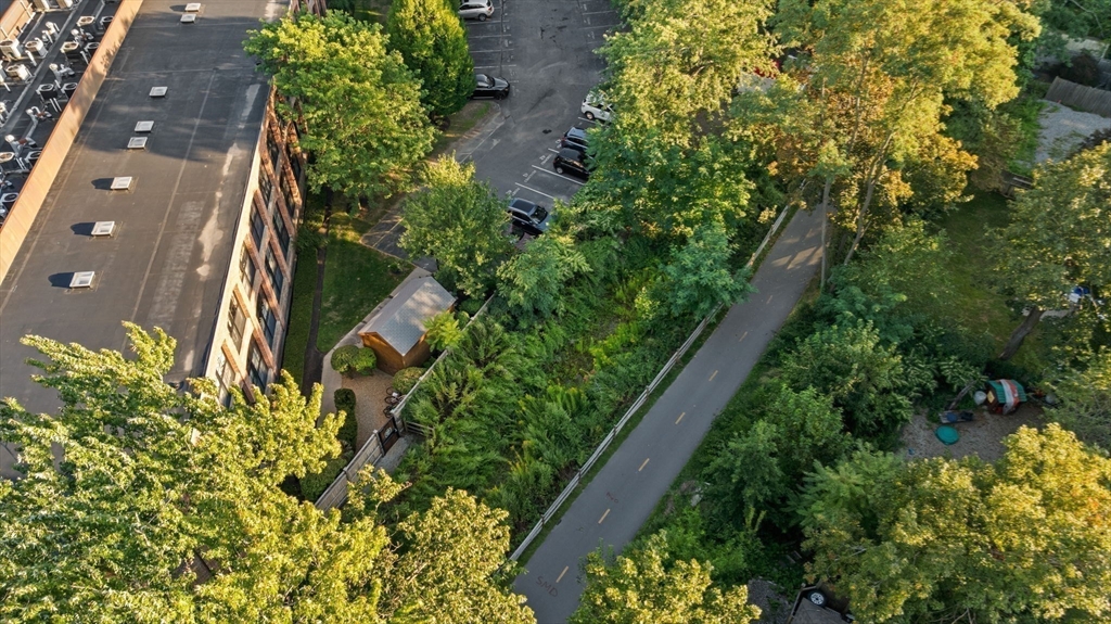 1 Aberdeen Way, Unit 113 Cambridge, MA 02138 - Photo 28 of 30