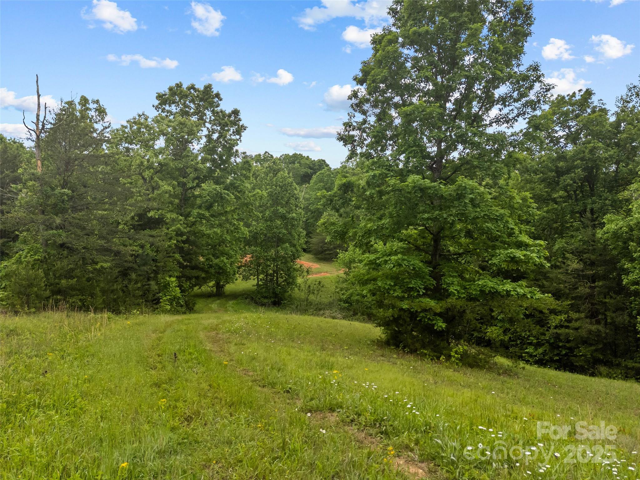 0 South County Line Road Rutherfordton, NC 28139 - Photo 11 of 47