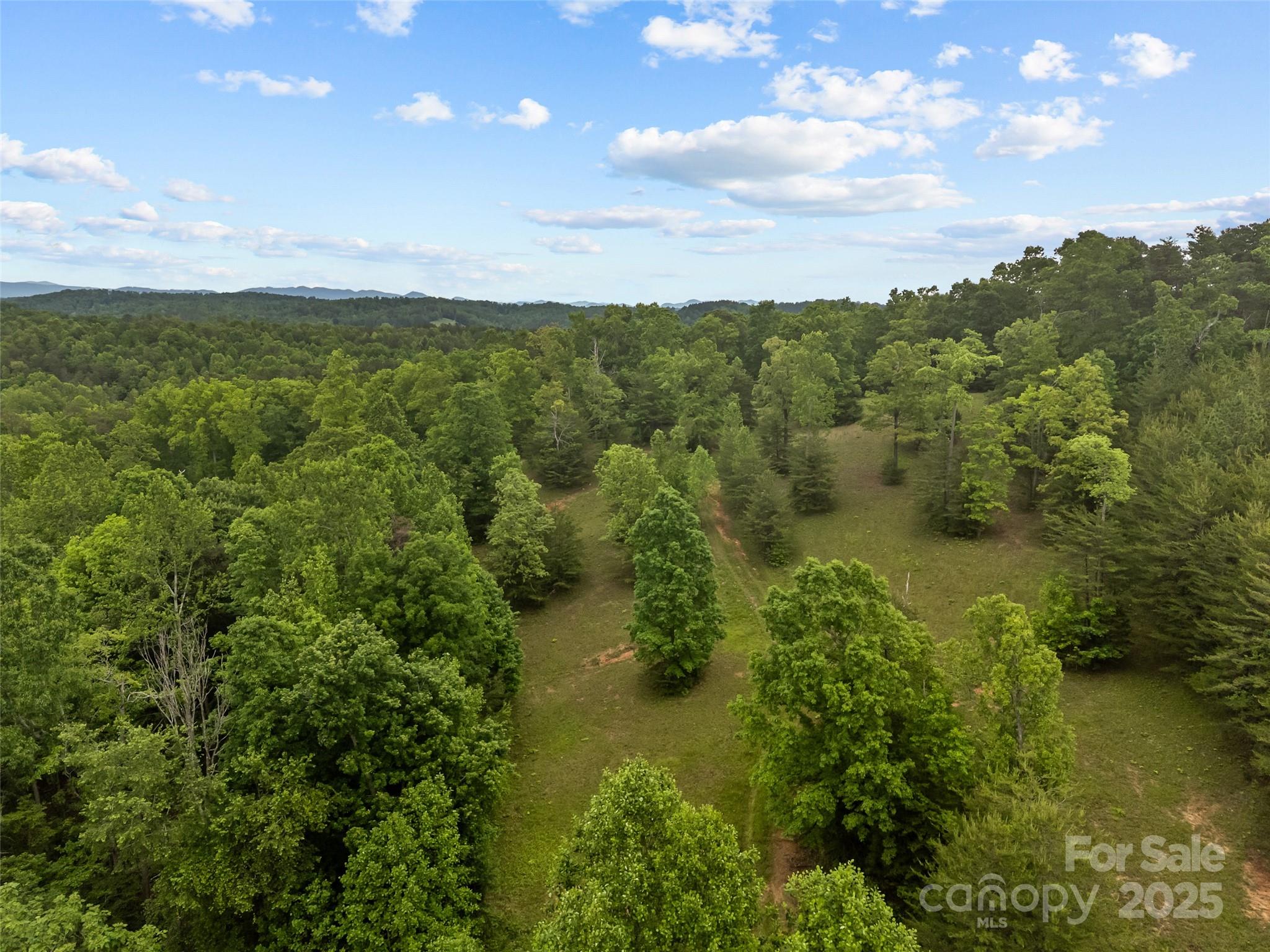 0 South County Line Road Rutherfordton, NC 28139 - Photo 12 of 47