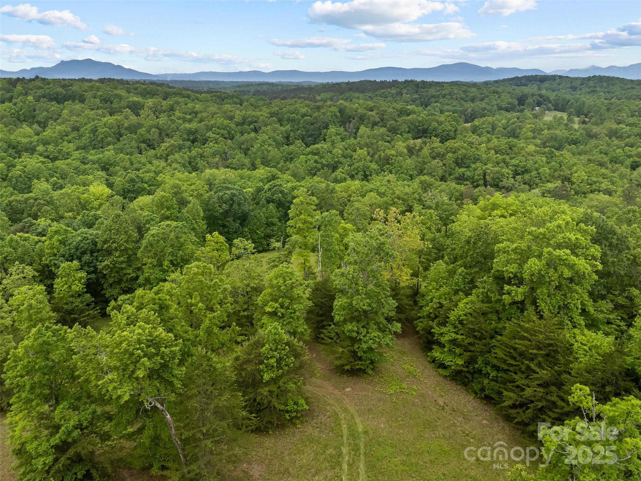 0 South County Line Road Rutherfordton, NC 28139 - Photo 13 of 47