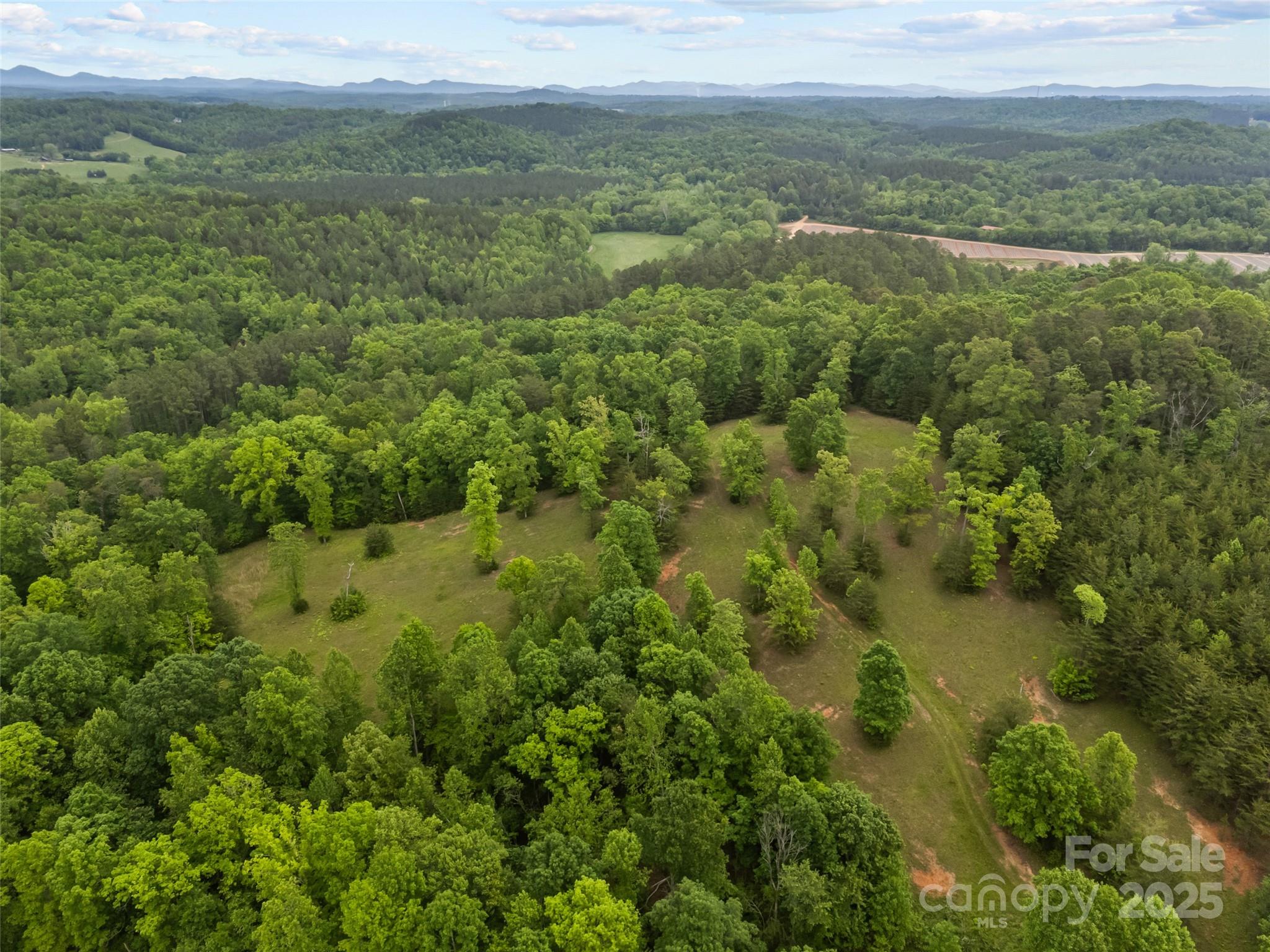 0 South County Line Road Rutherfordton, NC 28139 - Photo 15 of 47