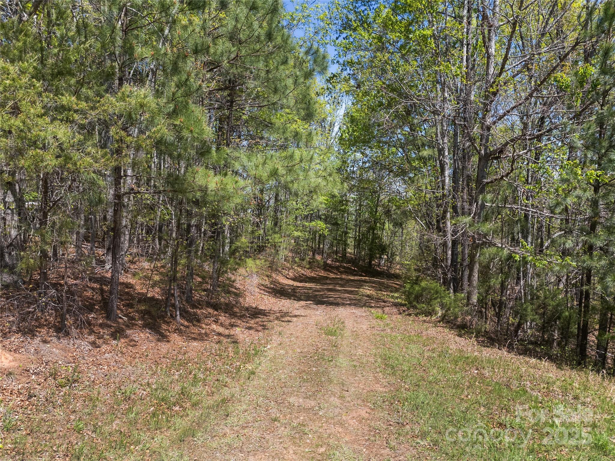0 South County Line Road Rutherfordton, NC 28139 - Photo 17 of 47