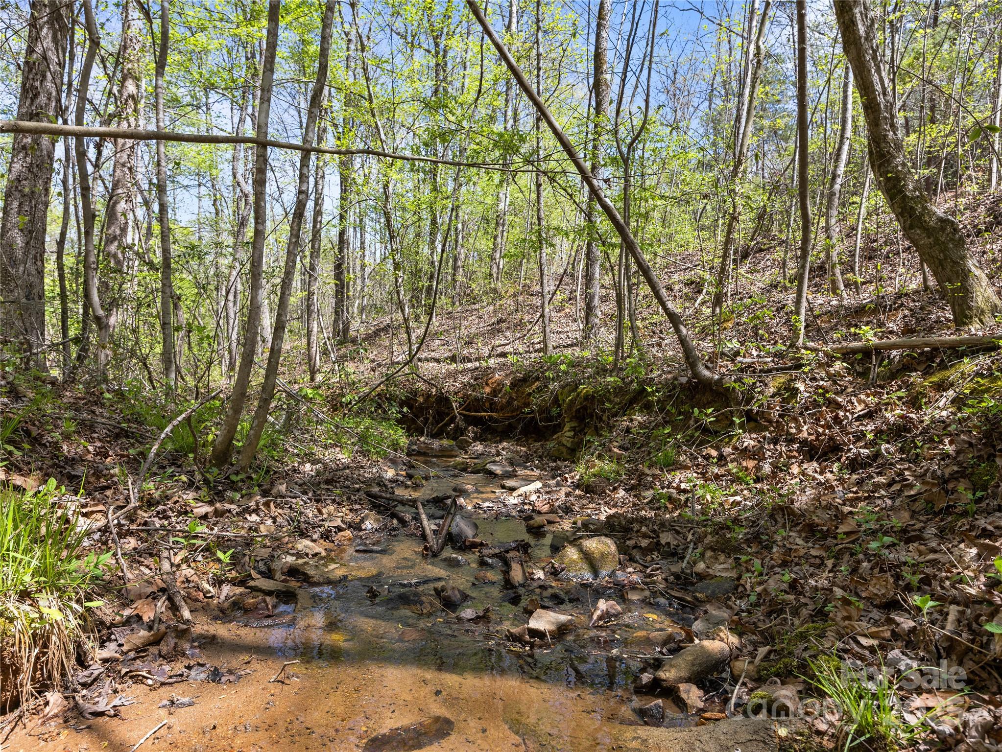 0 South County Line Road Rutherfordton, NC 28139 - Photo 18 of 47